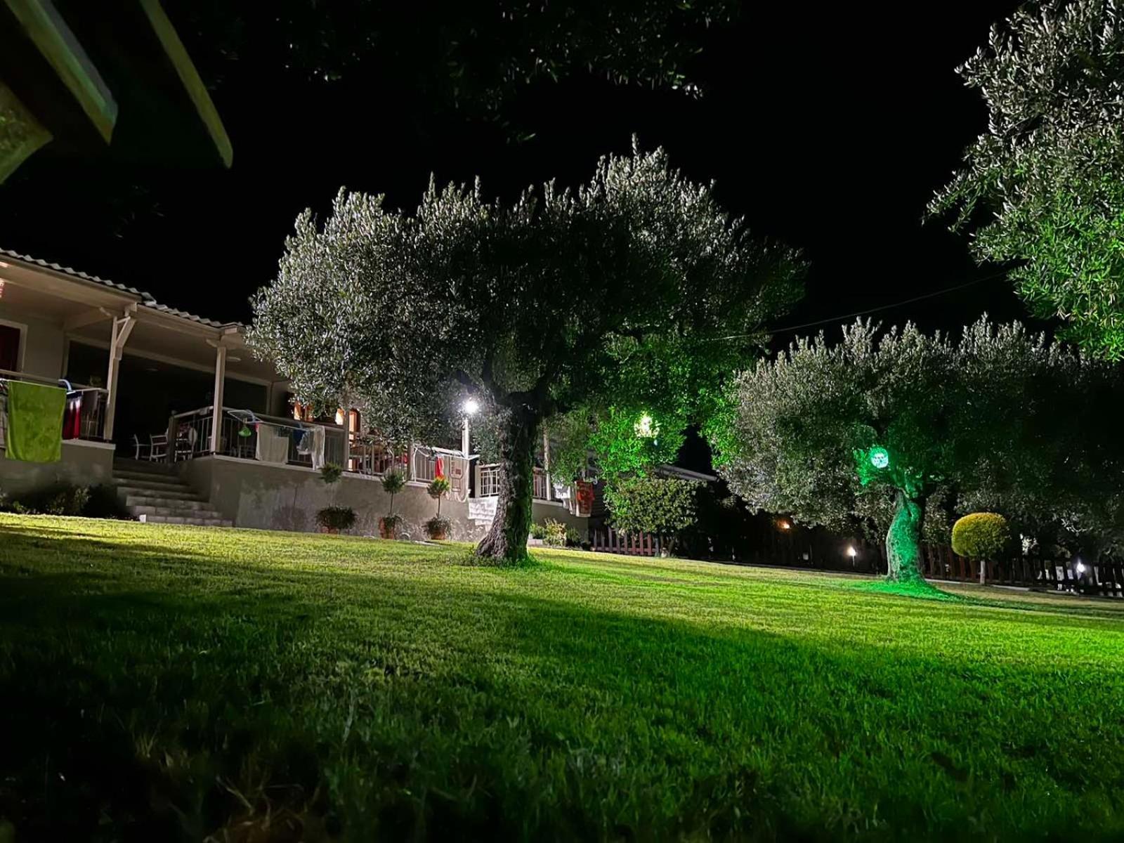 House Garli Apartment ซากูเดีย ห้อง รูปภาพ